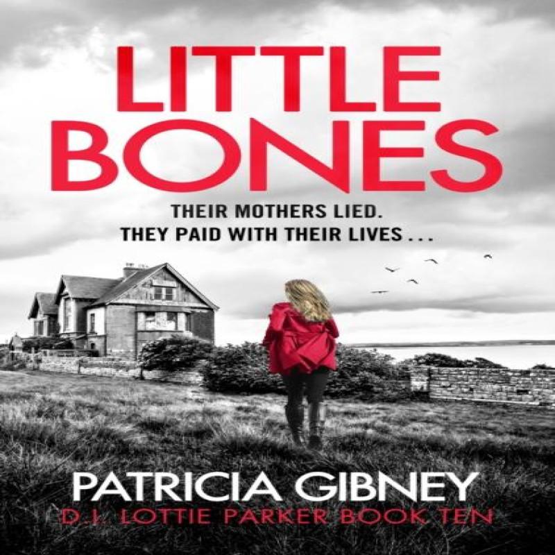 Little Bones by Patricia Gibney Paperback Book 9781408728543