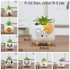 Table Decor Ornament Flower Planter Garden Supplies Bonsai Accessories Flowerpot Succulent Potted