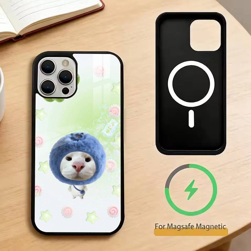 

Food cats with headgear333 Phone Case For iPhone17,16,15,14,13,12,11 Plus,Pro Magnetic For Magsafe Wireless Charging iPhone13PRO