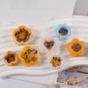 1 Pcs DIY Resin Silicone Mold Cherry Blossom Quicksand Epoxy Resin Molds Ornaments Candy Chocolate Drip Glue Mould Wholesale