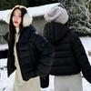 Winter new women's fashion short hooded down cotton-padded casual foreign-style warm cotton-padded clothes
