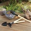 Home Gardening Trio: Mini Shovel, Iron Spade, Bonsai & Succulent Tools