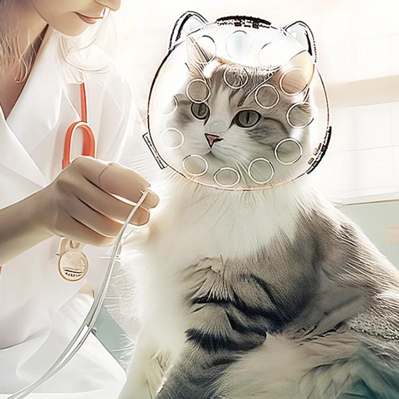 Tragbarer transparenter Anti-Biss- und Kratz-Katzenkopfschutz für den Außenbereich, hohles Design, atmungsaktiv und wärmeableitend, Katzenhelm, vielseitiges Haustierzubehör