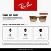 Sunglasses 0RB4165F JUSTIN RUBBER BEIGE GRADIENT BROWN 68141355 Asian Fit Polarized [Ray-Ban] (Beige/Brown)