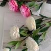 Artificial Peony Flowers 35.8" Faux Peony Stems Realistic Fake Silk Peony Branches with 3 Bloom Heads And 2 Buds for Vase DIY Bouquet Weeding