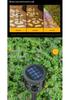 Solar Ground Stake Lights - Waterproof Outdoor Lawn and Garden Decor