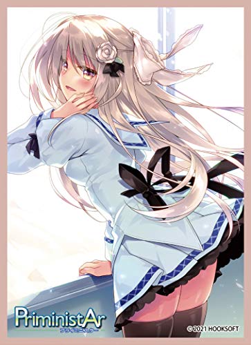 

Chara Sleeve Collection Mat Series HOOKSOFT Chisato Edanamori (PriministAr -PriministAr) (No.MT999)