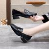 Square head small leather shoes women's 2025 spring new simple and generous light mouth thick heel work shoes medium heel leather shoes dress shoes