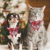 Fashion Christmas Necklace Safety Buckle Dog Bell Pet Bowknot Cat Kitten Collar Christmas Dog Bows