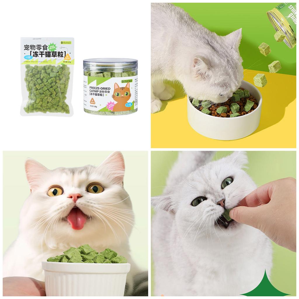 Natural Cat Grass Snack for Cats Dental Healthy Cat Care Chewing Licking Snack Cat Hairball Control Freeze Dried Snack
