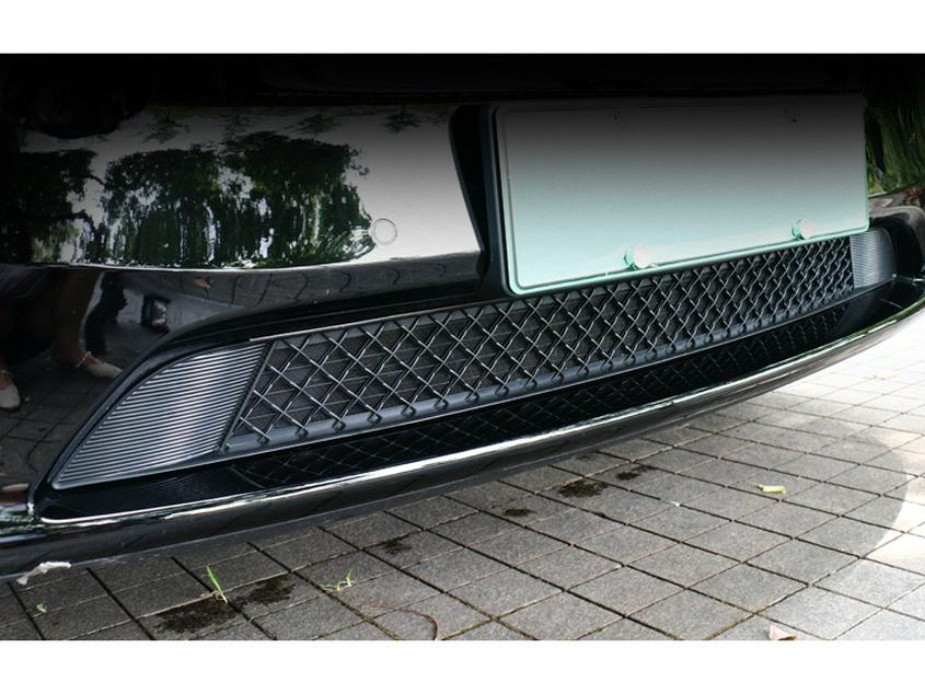 Tesla Model Y Front Bumper Insect Net