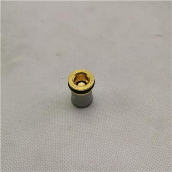 Foton Check Valve for Cylinder Head - PV10005349