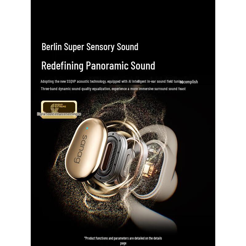 SANAG C16S Open-Ear Sport Wireless Ear-Hook Headphones