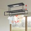 Electric Retractable Clothes Airer with 8 Rods & LED Light, Remote Control, 35kg/77 lbs Load Capacity for Home Use, 110V (Black)