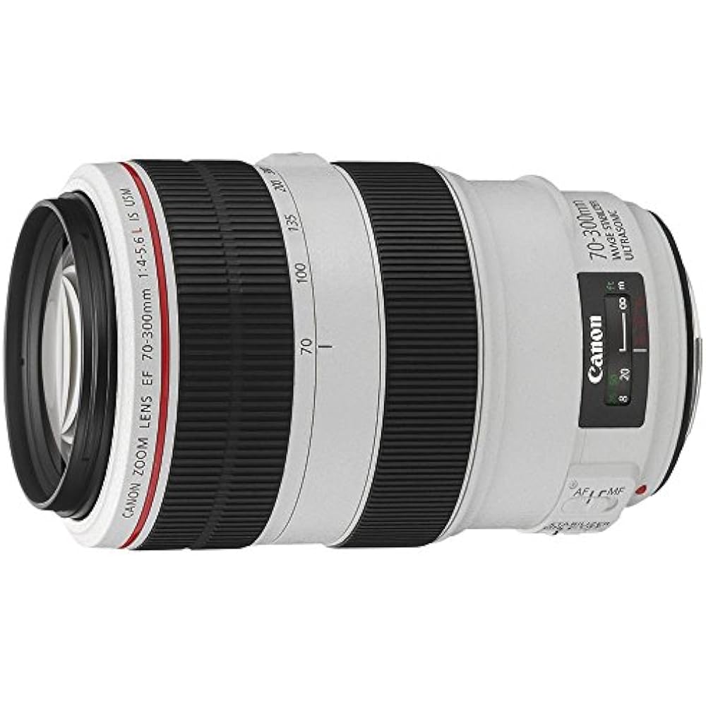 Canon EF Lens EF70-300mm F4-5.6L IS USM Zoom Lens Telephoto