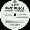 12inch Record BLACK BULLDOG  Choirboys...Cant You See SLATE04 Slate 1995 UK Dance  Electronica Used