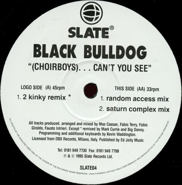 

12inch Record BLACK BULLDOG Choirboys...Cant You See SLATE04 Slate 1995 UK Dance Electronica Used
