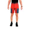 Newwood Shorts Horse