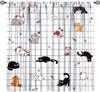 Cartoon Cat Floral Curta, Colorful Spring Blue Orange Flowers Bouquets Funny Cute Cats Nature Garden Window Treatments For