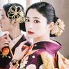Arenca Reika Ranman Hair Ornaments, Coming-of-Age Ceremony, Chirimen Craft, 10-Piece Set: Chrysanthemum, Butterfly, Gold. Freely Combine To Match