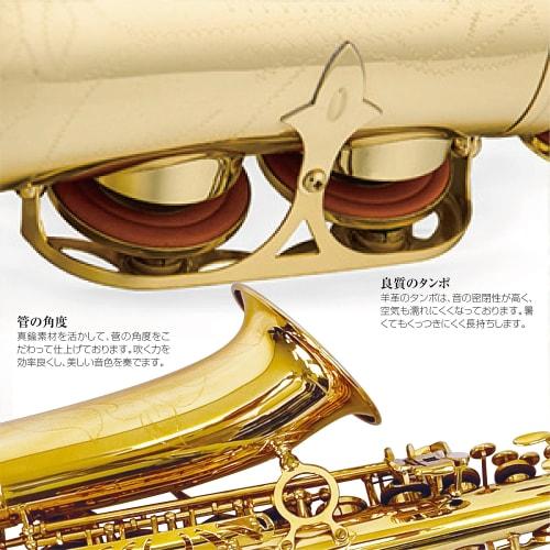 11-Piece Alto Saxophone Set in E Gold Lacquer with Case and Engraving, Beginner's Saxophone Set
