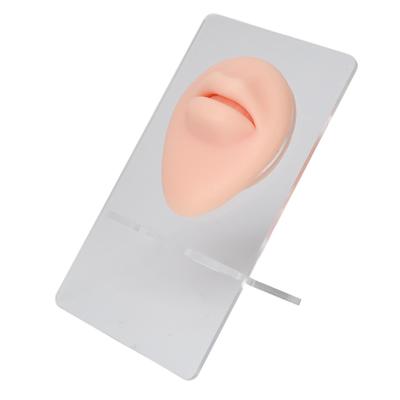 Silicone Lips Model 3D High Simulation Lifelike Elastic Lip Piercing Tattoo Practice Fake Lip Model for Training Light
