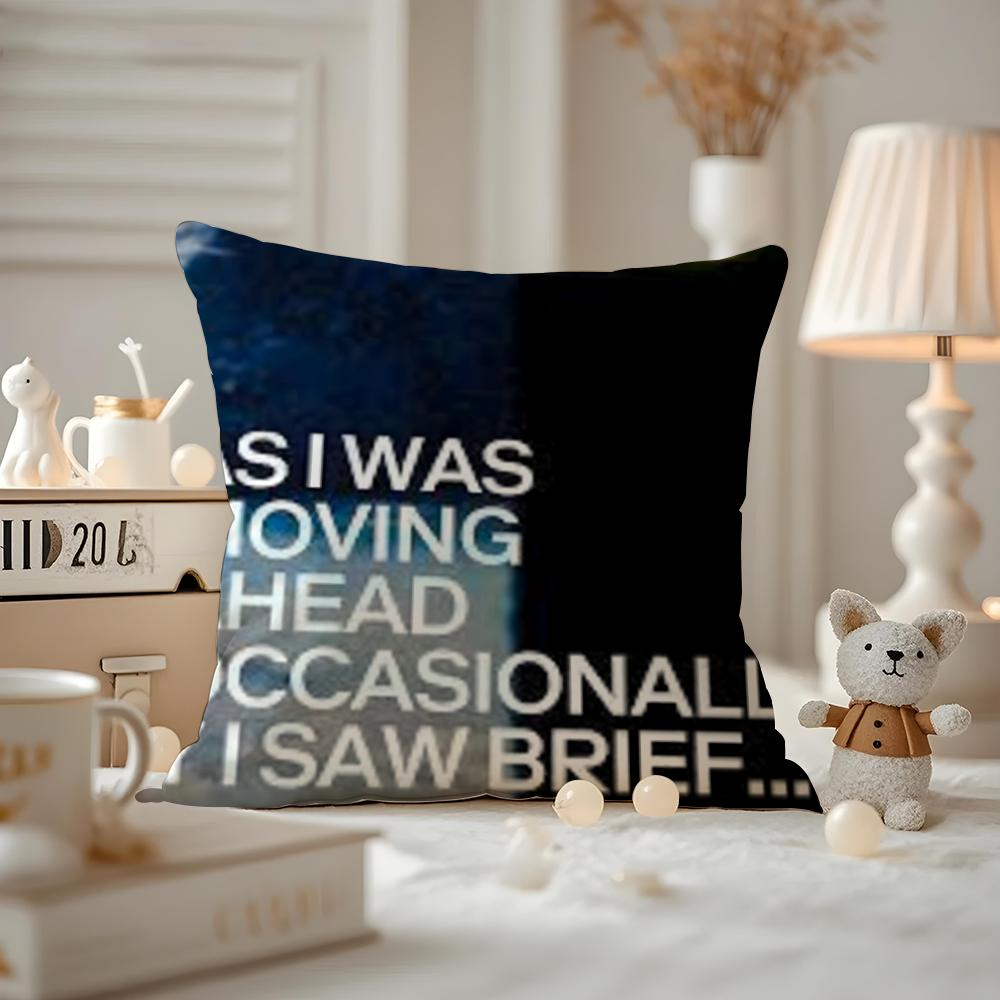 As I Was Moving Ahead Occasionally I Saw Brief Glimpses Of Beauty Cushion Cover Pattern Printed Pillowcase For Living Room Sofa