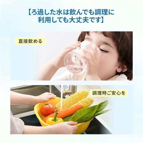 TH658-3 Water Purification Cartridges, JIS-Tested in Japan, Equivalent to TH658-2V1, Compatible with TH658-1S, and Compatible with Older TH658S/TH658R