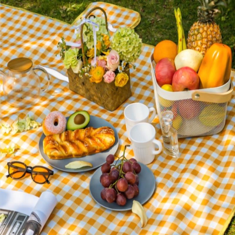 SMOOKY Thickened Outdoor Picnic & Camping Mat