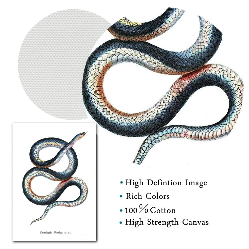 Schlangenmuster Vintage Reptilienkunst Malerei Bild Galerie Wandkunst Druck Modern Abstraktes Poster Heimkunst Wanddekor