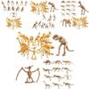 Realistic Dinosaur Skeleton Model Toy 12 Types Of Archaeological Excavation Dinosaur Skeletons