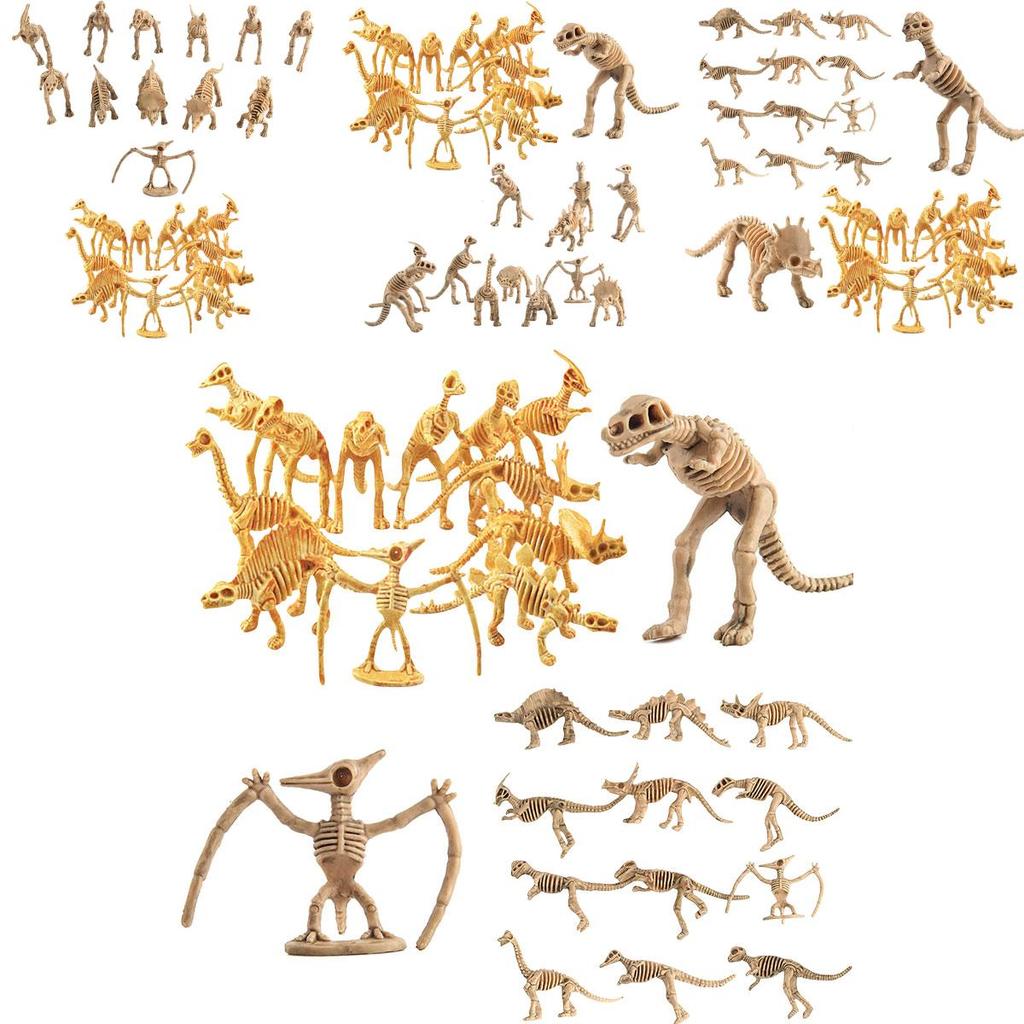 Realistic Dinosaur Skeleton Model Toy 12 Types Of Archaeological Excavation Dinosaur Skeletons