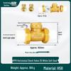 Brass Check Valve: PPR 20 4-point, 25 6-point, 1 Inch 32 Hot Melt Horizontal One-way Anti-backflow Water Pipe.