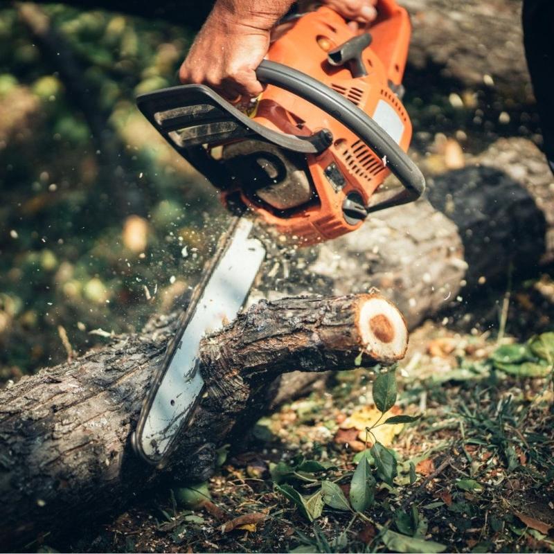 

Motor Air Filter Replacement, Quick Install Cotton Inserts for Outdoor Power Tool Conservation China Mainland