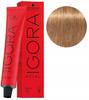 Schwarzkopf Igora Royal Hair Dye 60ml 8-65 Light Chocolate-Golden Blonde