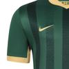 New Nike FC PROFESSIONAL Soccer Jerseys Men's Green HM6184-341