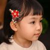 Cute Chinese Style Red Barrettes Tang Suit Ancient Style Hair Clip  Winter