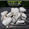 DIY Dinosaur Fossil Excavation Toy: Tyrannosaurus & Triceratops Skeleton Models for Kids