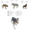 Wildtier Wolf PVC Modellset mit statischem Design für pädagogisches Kinderspiel