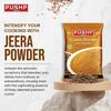 Pushp Brand Cumin/Jeera Powder Pouch (100g Pack) (Pack of 10)