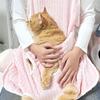 Hair-Resistant Cat Holding Apron Anti Scratch Pet Anti Shedding Cover Pet Sleeping Bag  Home Use