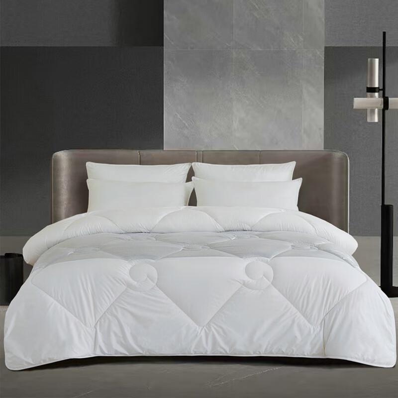

Tanghuang Miluo Si 100% Imported Wool All-Season Duvet