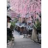 759 Small Piece Puzzle Master Weeping Cherry Blossoms and Sanneizaka Kyoto - (38x53cm)
