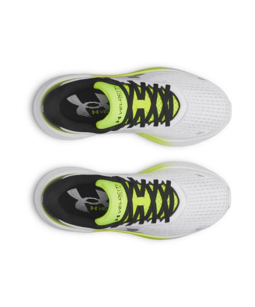 Under Armour Women's Velocity Pace Running Shoe 6009108-103 [Shipped from Korea] 100% Authentic