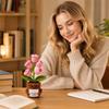 of the Night Light – Potted Plant Decoration with Encouragement Card