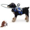 Cães – Colares e correias para cães