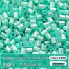 Mard Family Perler Beads P Series Pearlescent Colors 2.6mm Refill Pack - 50g Fused Beads