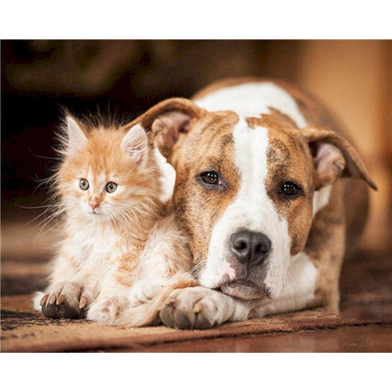 5D Diy Diamond Painting Kit Dog Animal Cross Stitch Embroidery Set Full Rhinestone Mosaic Home Decoration Picture