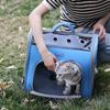 Cat Bag Out Portable Portable Backpack Large Space Breathable Double Shoulder Cat Schoolbag Pet Bag