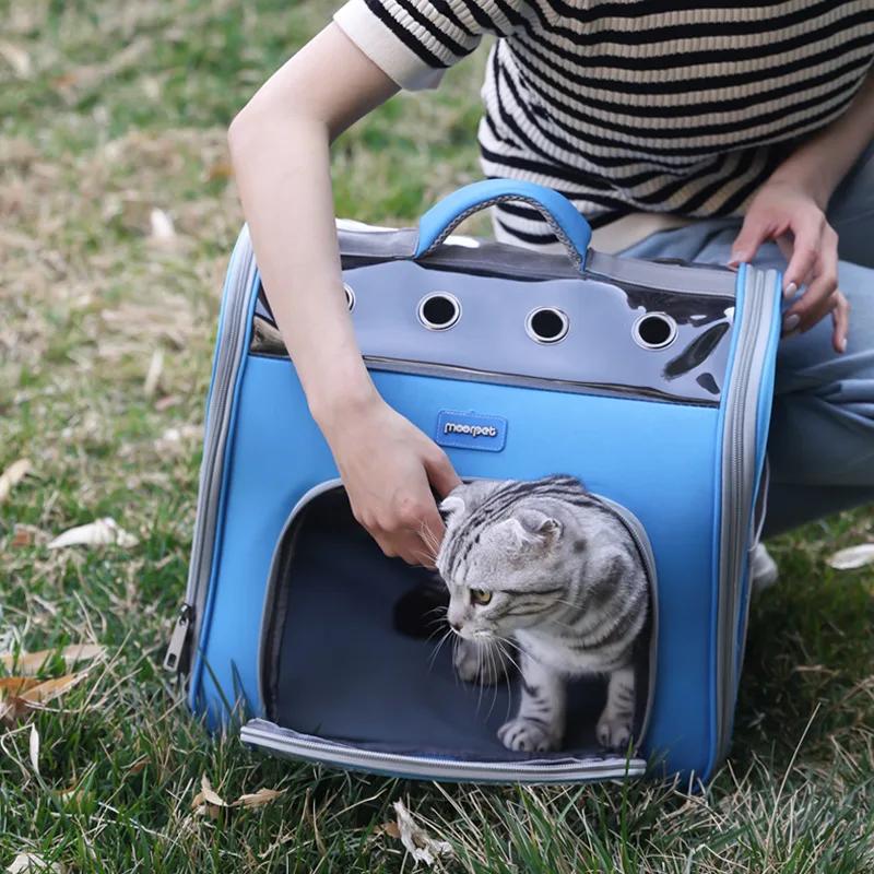Cat Bag Out Portable Portable Backpack Large Space Breathable Double Shoulder Cat Schoolbag Pet Bag